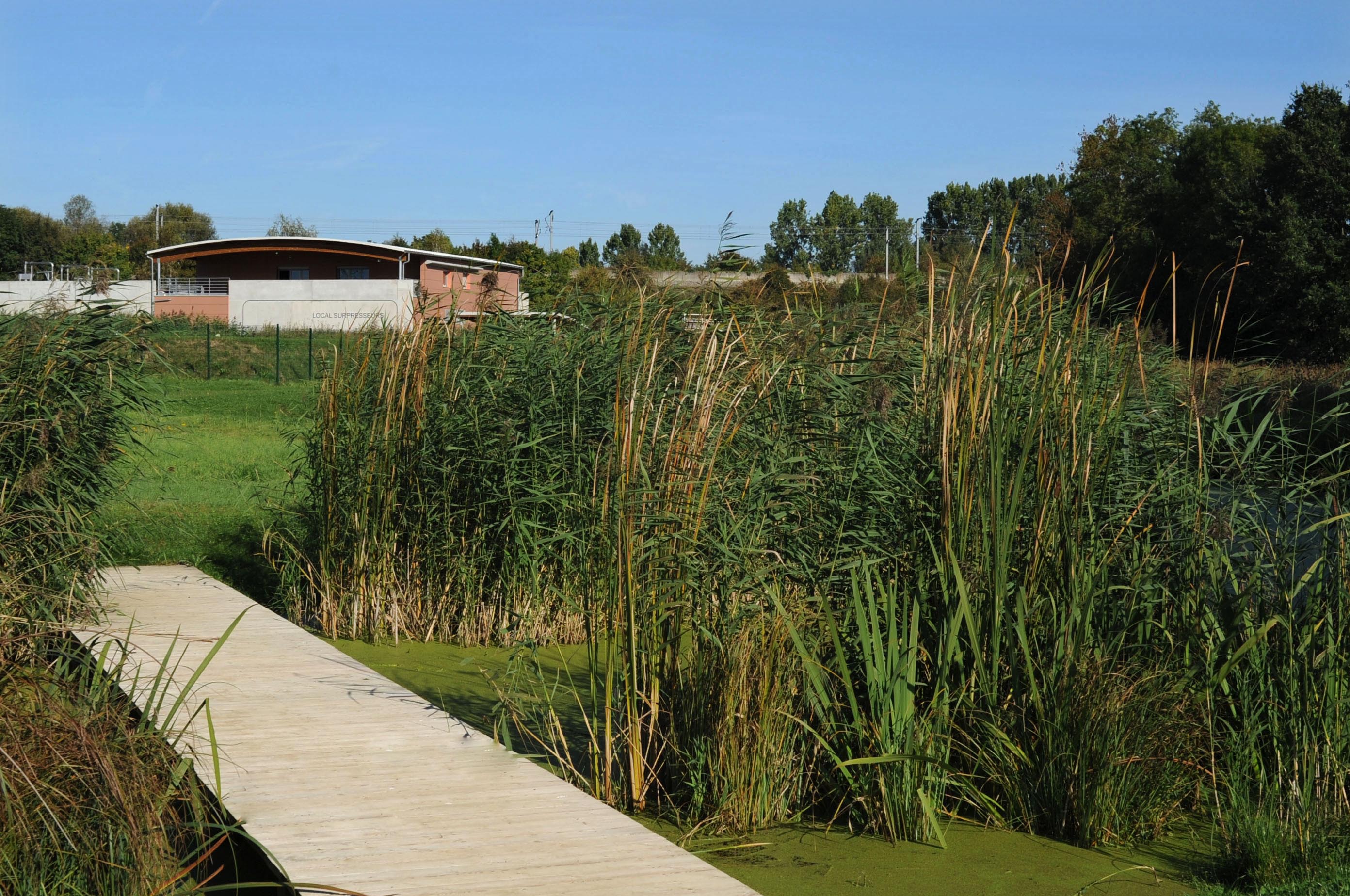 Station d'Epuration Ecologique - Briis sous Forges - photo 4