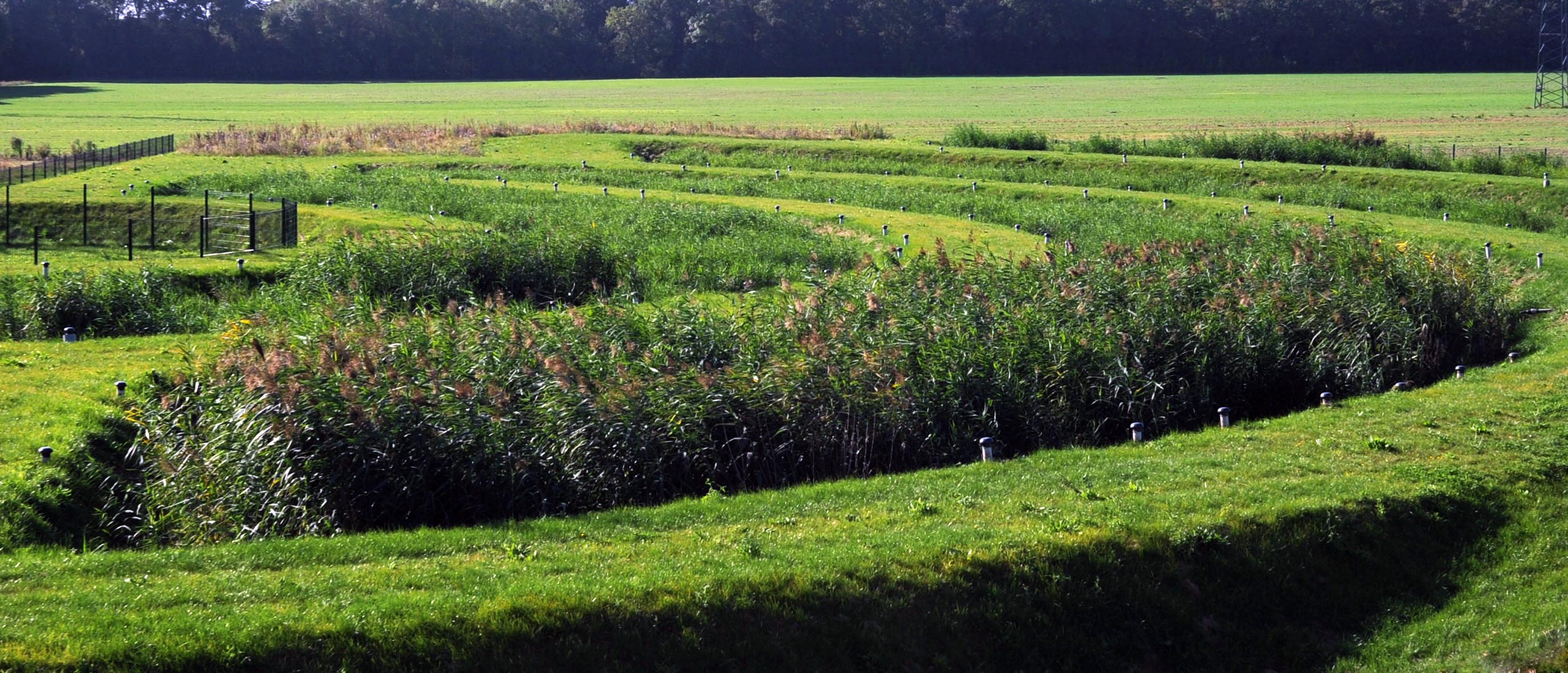 Station d'Epuration Ecologique - Briis sous Forges - photo 6