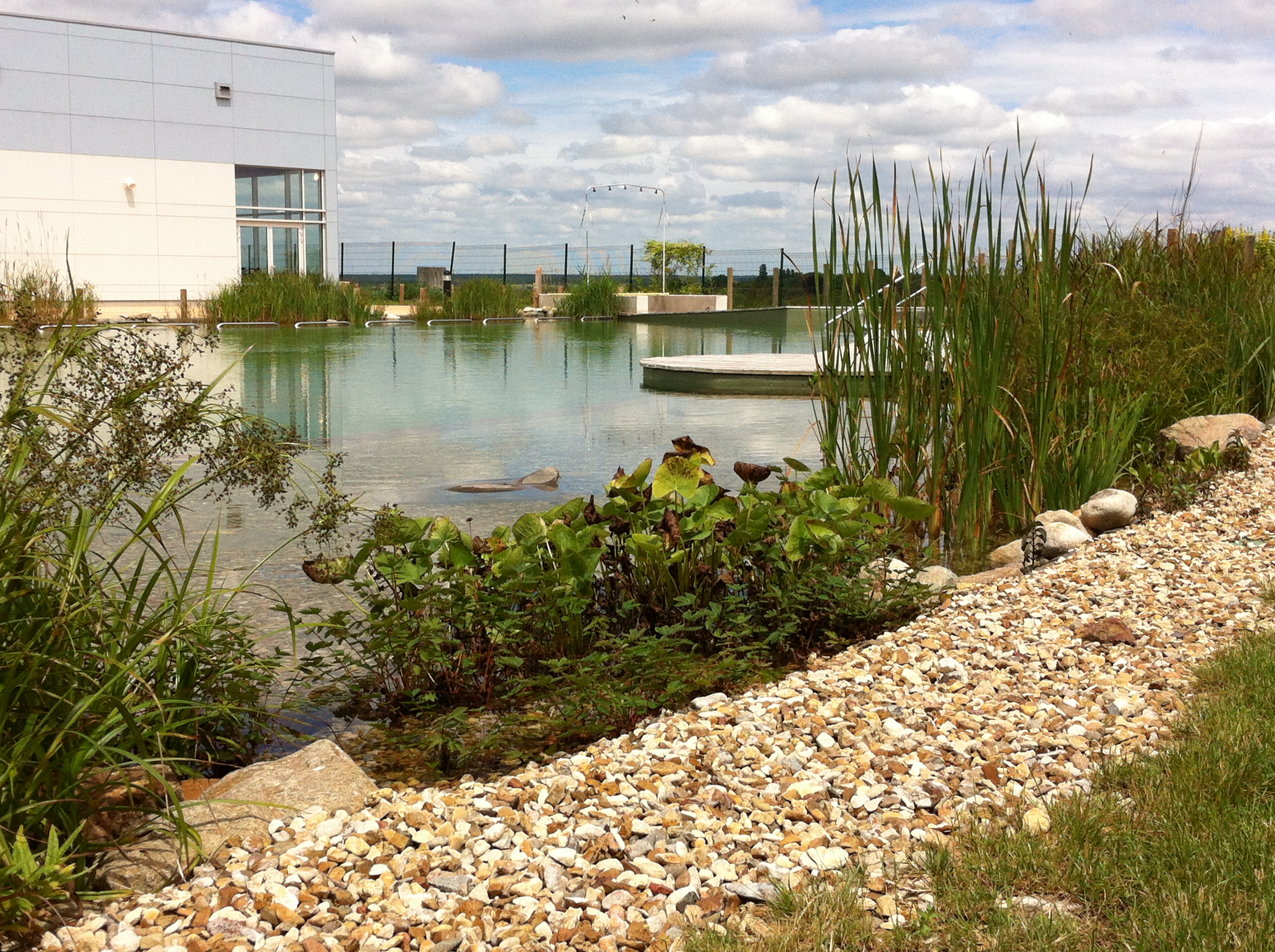 Piscine Naturéo à Loches - photo 5