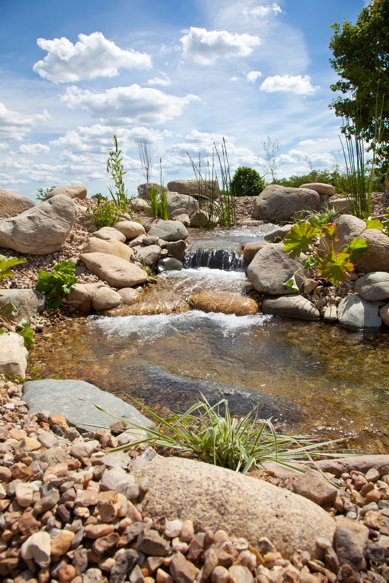 Piscine Naturéo à Loches - photo 8