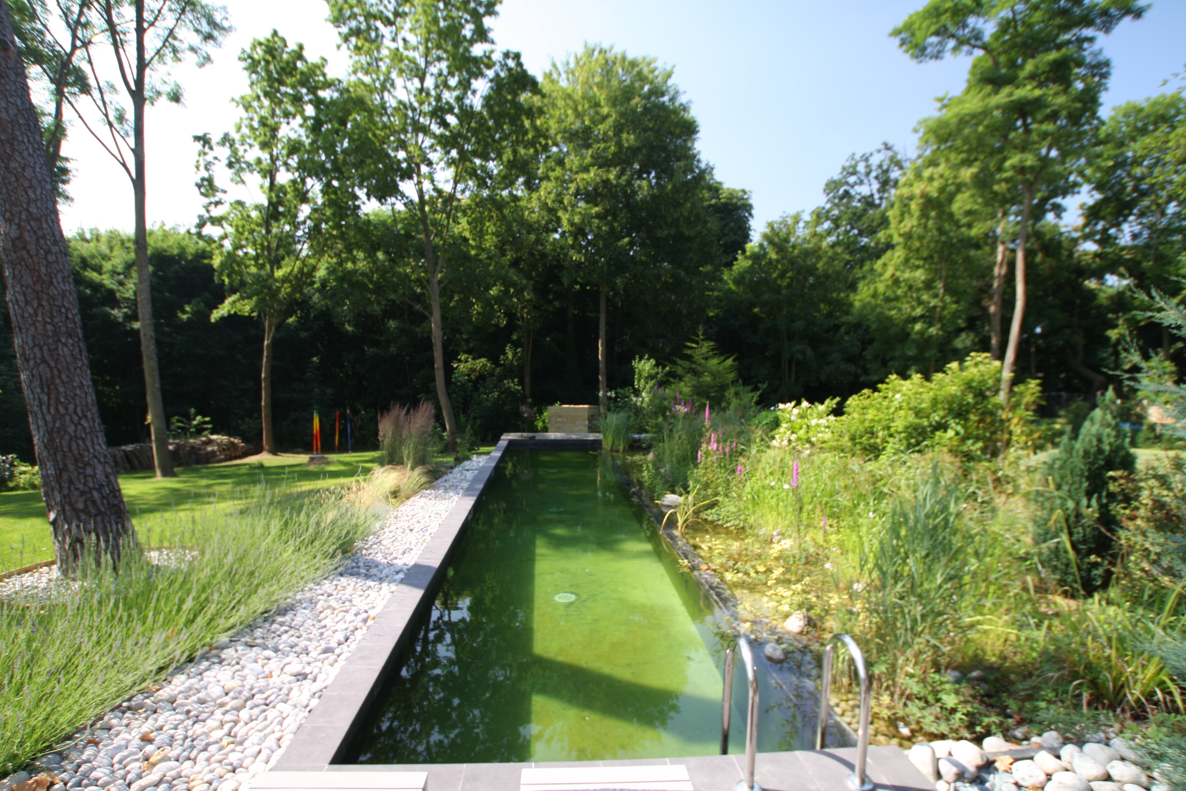 Maison Canopée - photo 5