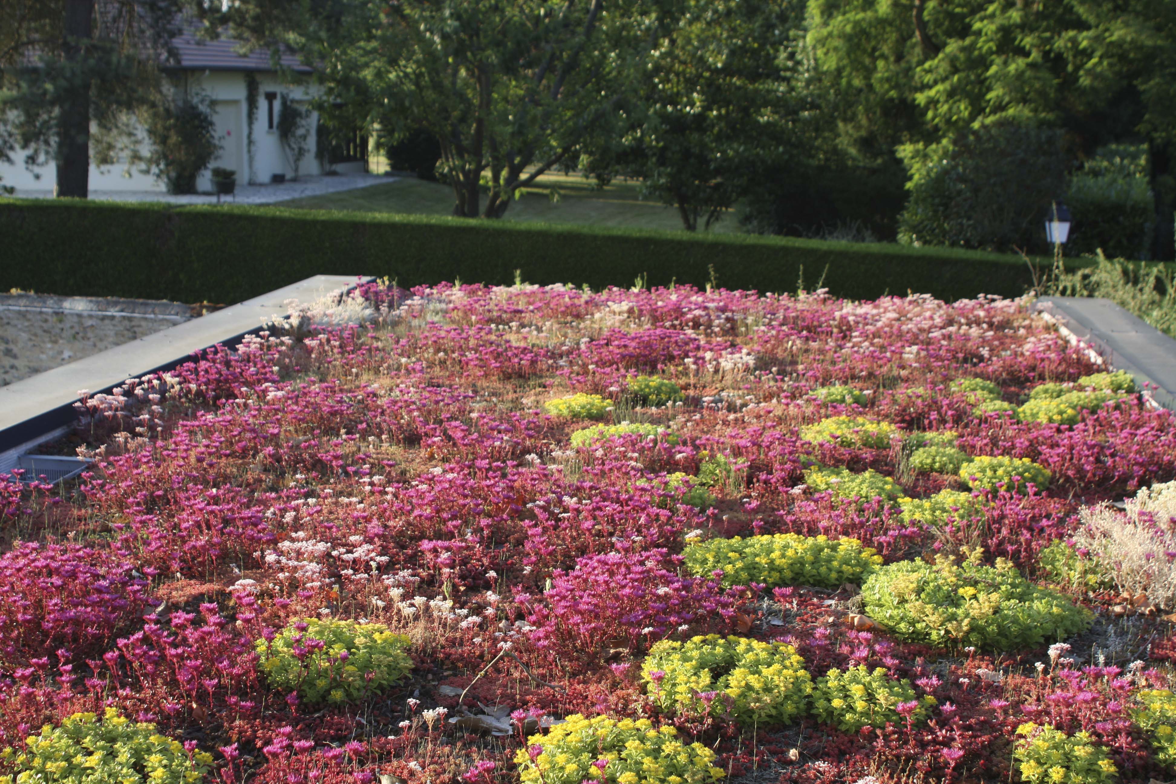 Maison Canopée - photo 6