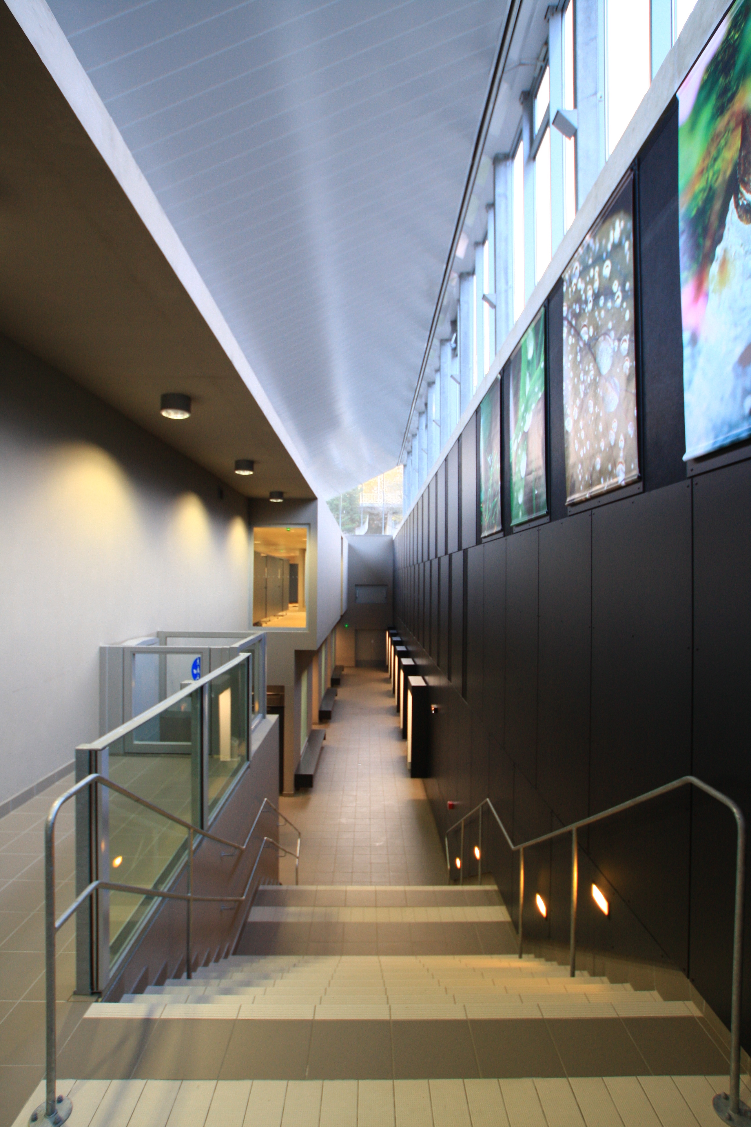 Piscine de Caluire et Cuire - photo 5