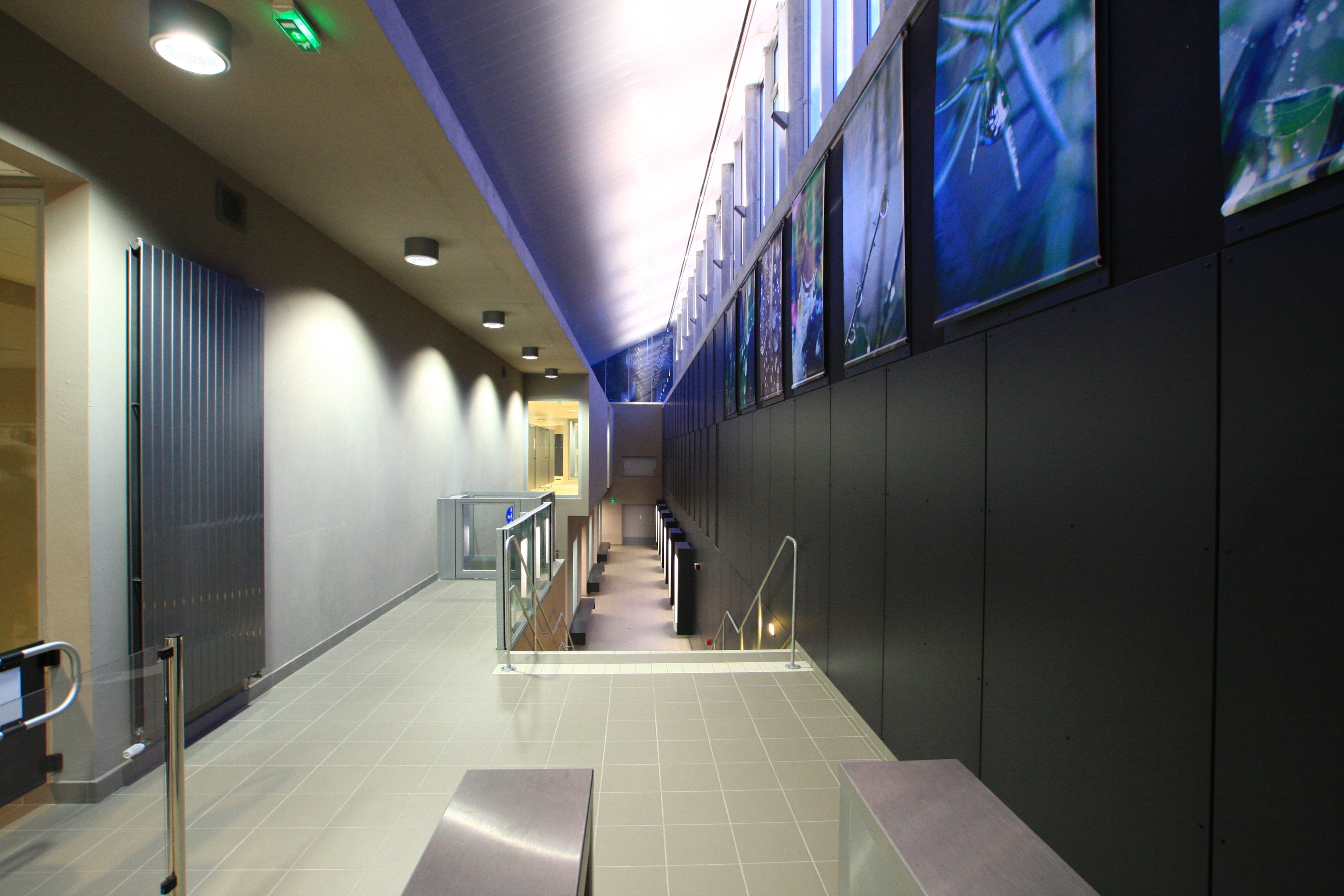 Piscine de Caluire et Cuire - photo 6